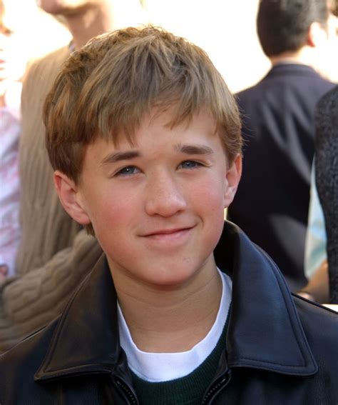 serien mit haley joel osment|Haley Joel Osment – Wikipedia